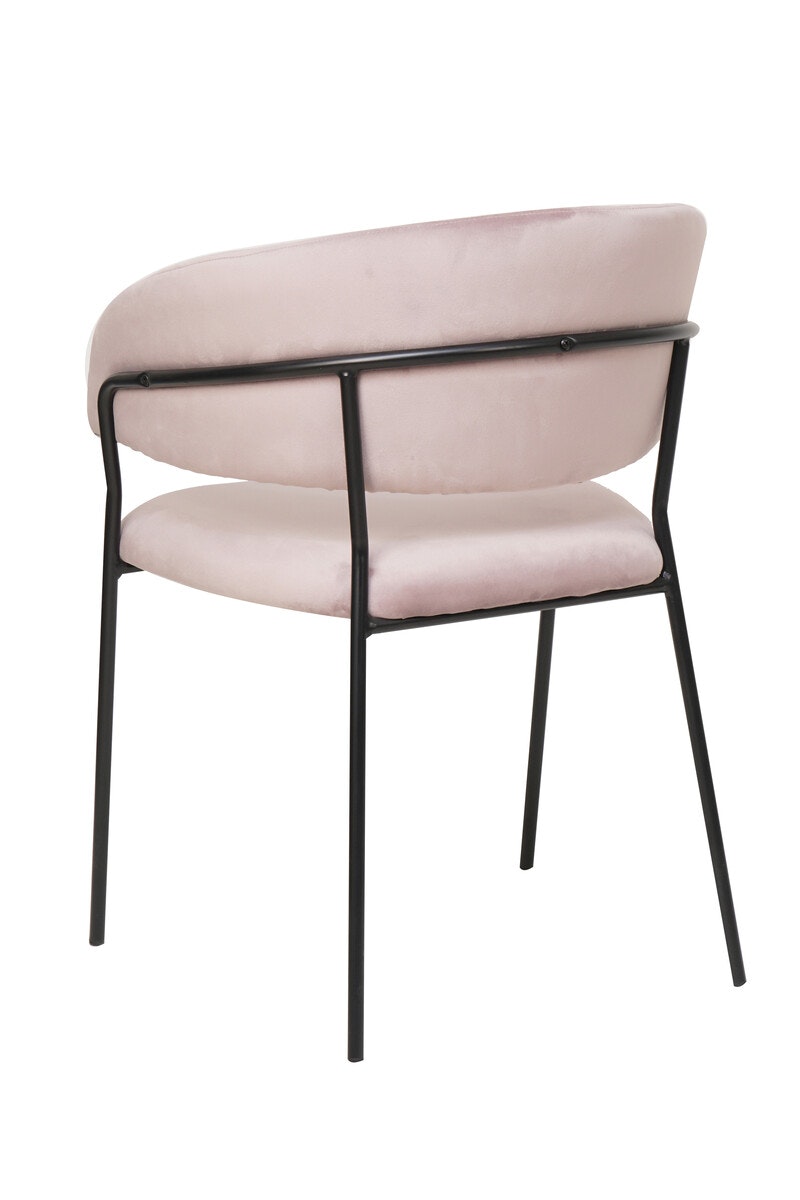 Salesfever Stuhl Rose & Schwarz Samt mit Rückensteppung Gestell Metall Pearl Meist gekauft