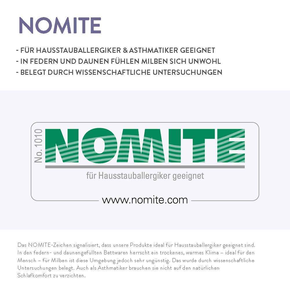 Schlafstil Kissenfüllung Schlafstil D600, 90 % Gänsedaunen, geeignet als Sofakissen, Reisekissen und Dekokissen Online Outlet