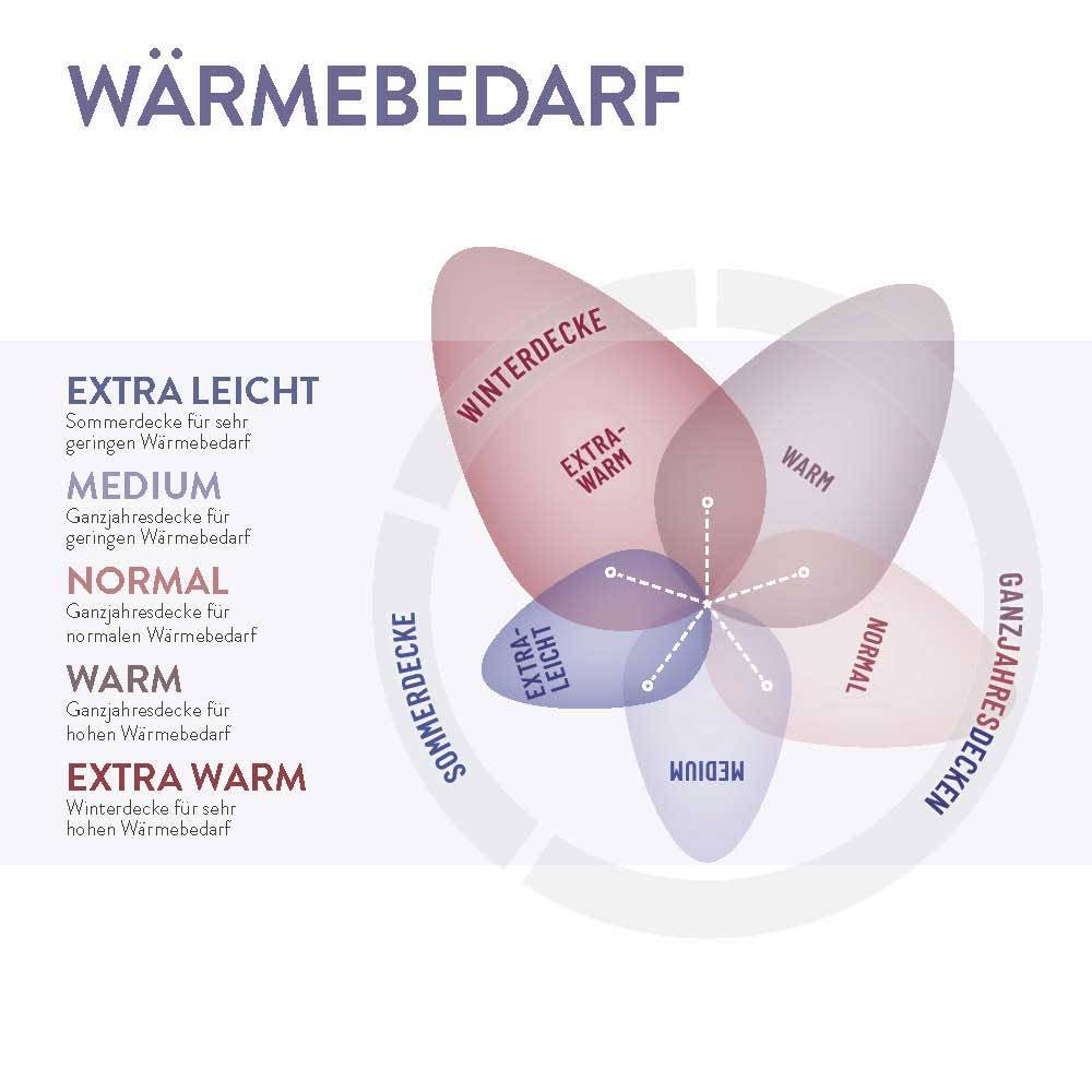 Schlafstil Cashmerebettdecke Schlafstil N700, feinster Cashmere Flaum 100 % Cashmere Neuheiten