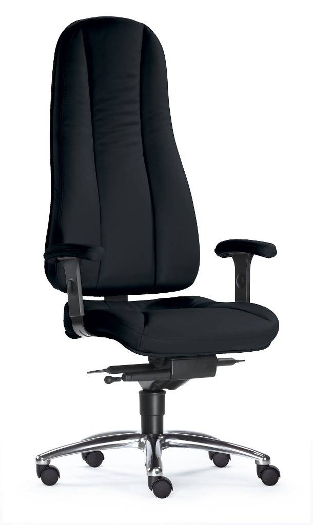 SITWELL Gernot Steifensand Dynamik Hochlehner Sonderangebot der Fabrik
