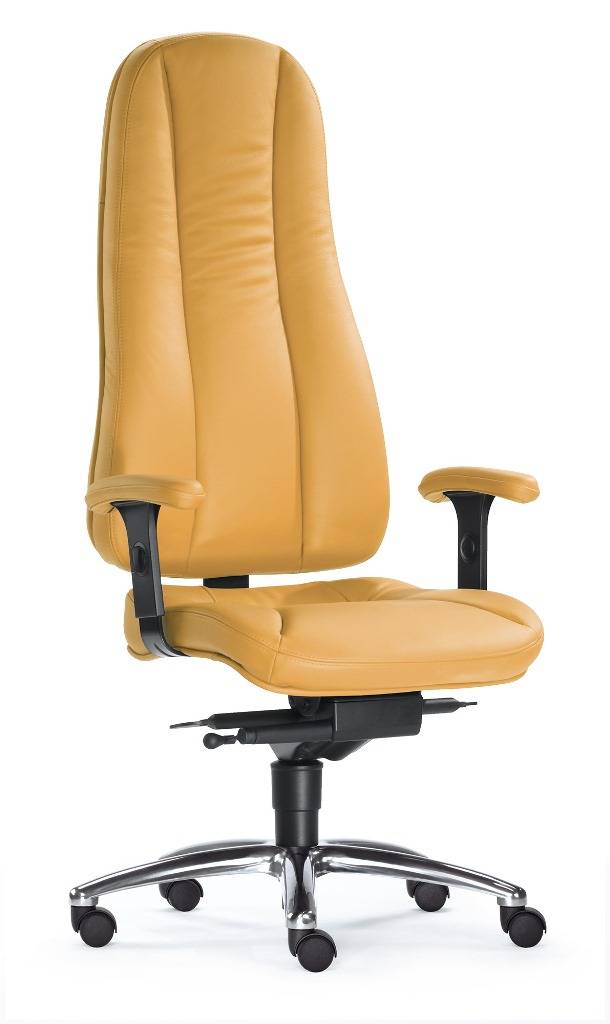 SITWELL Gernot Steifensand Dynamik Hochlehner Sonderangebot der Fabrik
